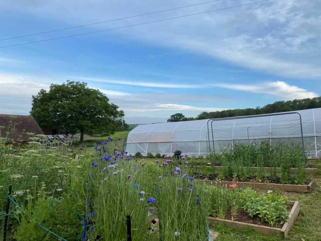 Care guide for your polytunnel Garden in hot weather