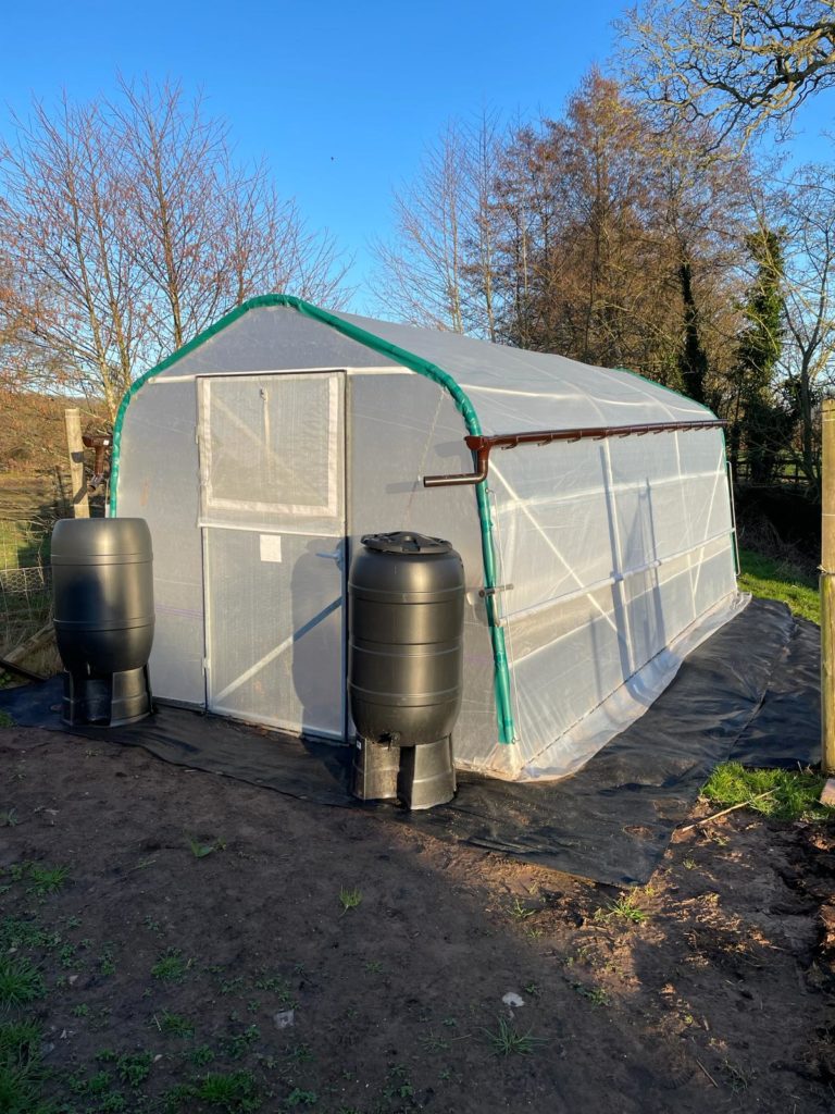 Haygrove Garden Tunnels with rainwater gutters collecting water into two water butts. 