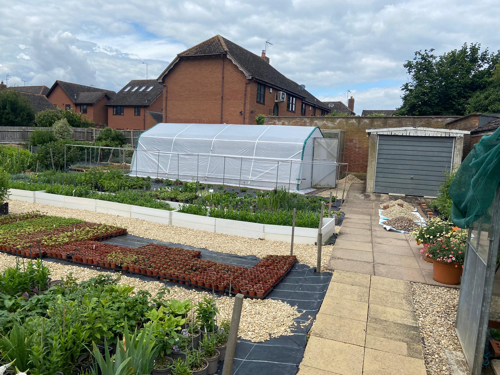 9 Reasons Why Haygrove Garden Tunnels are the best polytunnel for your allotment 